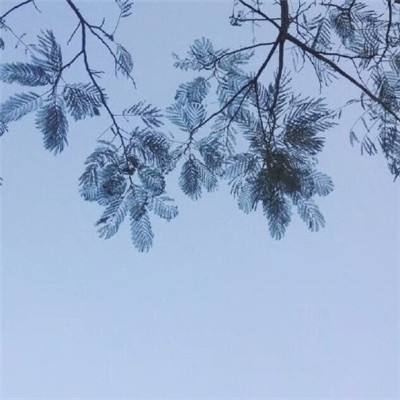 贵州万峰林：“调色板”里的“天空之镜”